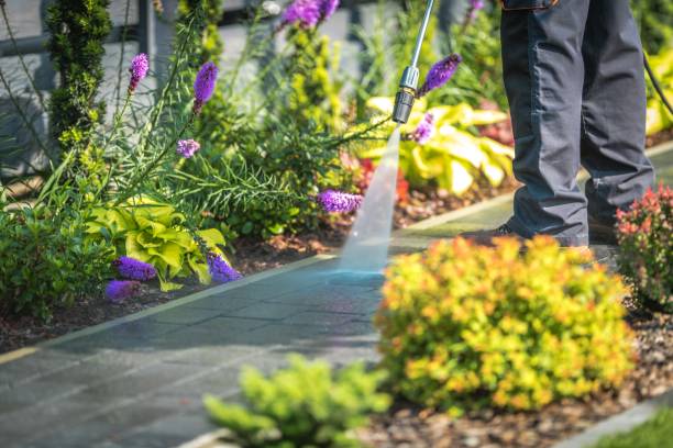 Best Driveway Pressure Washing  in Bloomsburg, PA